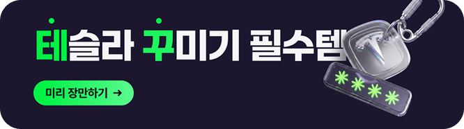 테슬라 카페 회원 추천 필수품